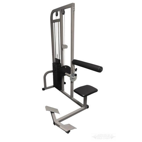 Arnold Classic Abdominal machine