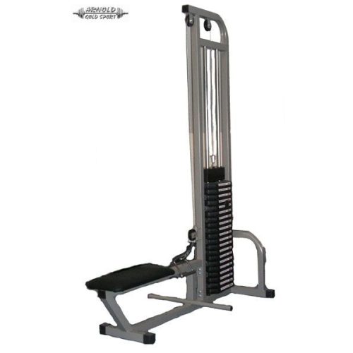 Arnold Classic Long pully machine