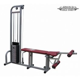 Arnold Classic Curl & Extension machine