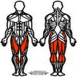 Arnold Classic Lábgép