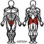 Arnold Classic Láboldalazó gép