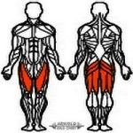 Arnold Classic Lábtoló lapsúlyos