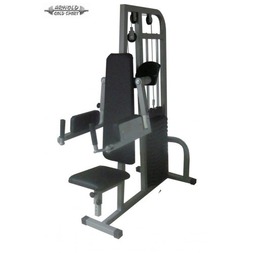 Arnold Classic Lateral Shoulder Machine