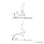 Arnold Classic Lat pully & Long pully