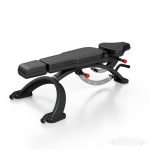 Arnold Classic Lat pully & Long pully