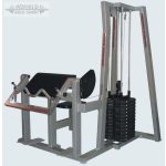 AGM Bicepszgép