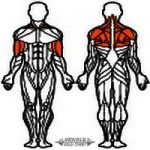 AGM Fali Húzódzkodó