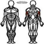 AGM Tarkóhoz húzó gép