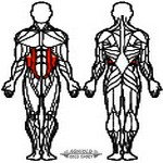 AGM Twister Standing