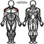 AGM Vállgép oldalemeléses