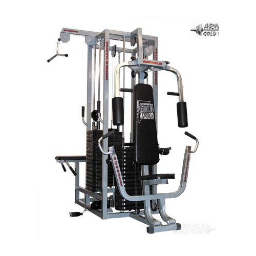 Arnold Master 220