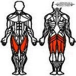 Kenguru Kültéri Láberősítő